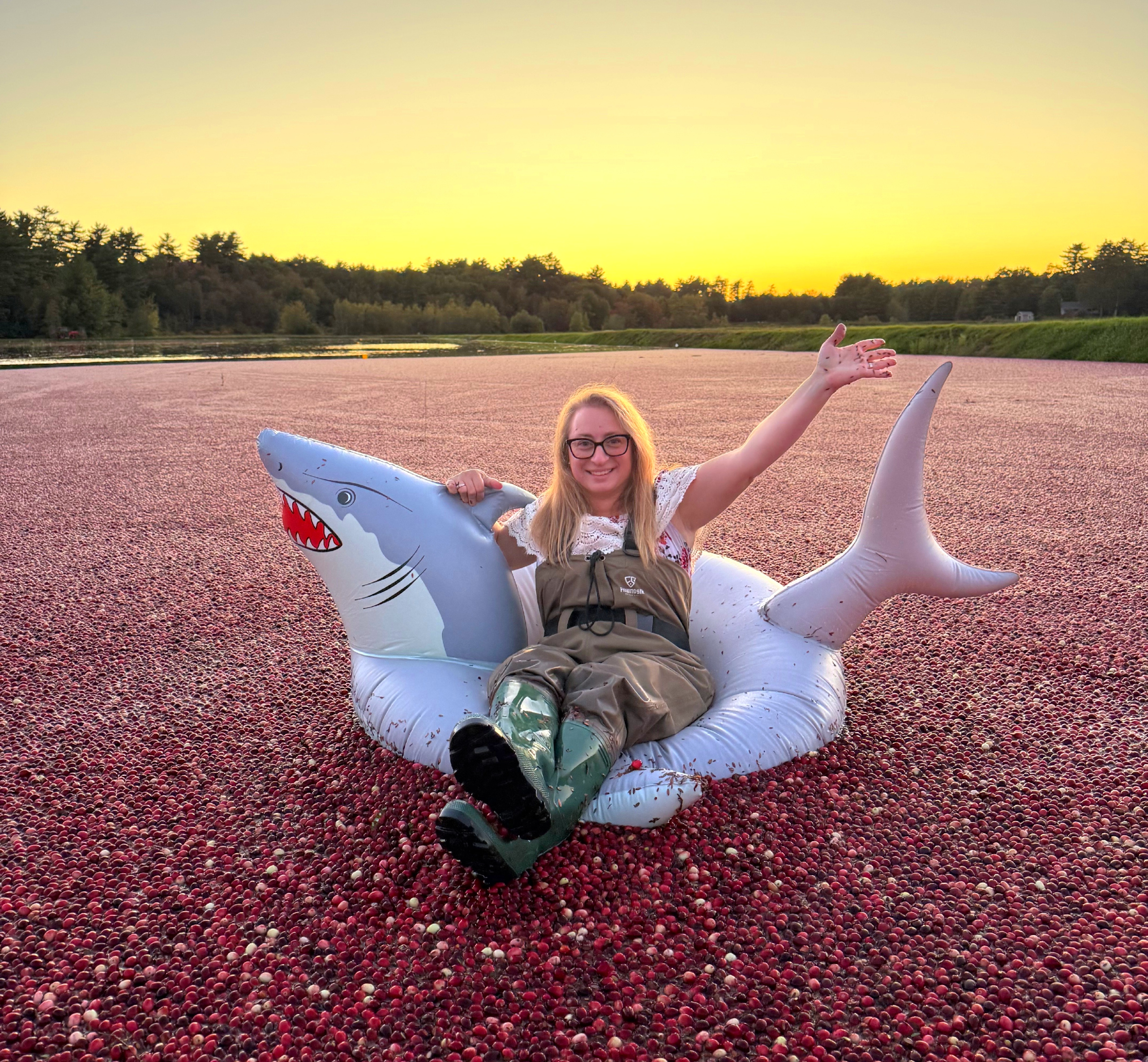 Cranberry Bog Tours and Harvest Events 2026