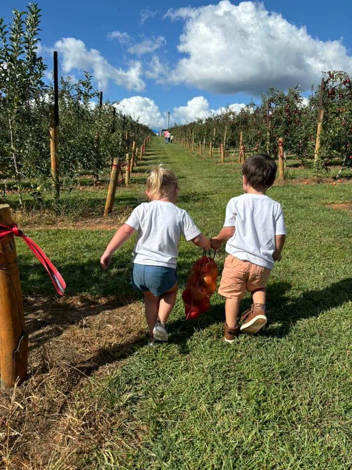 Upick Apple Bag