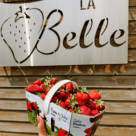 Panier de fraise 3L