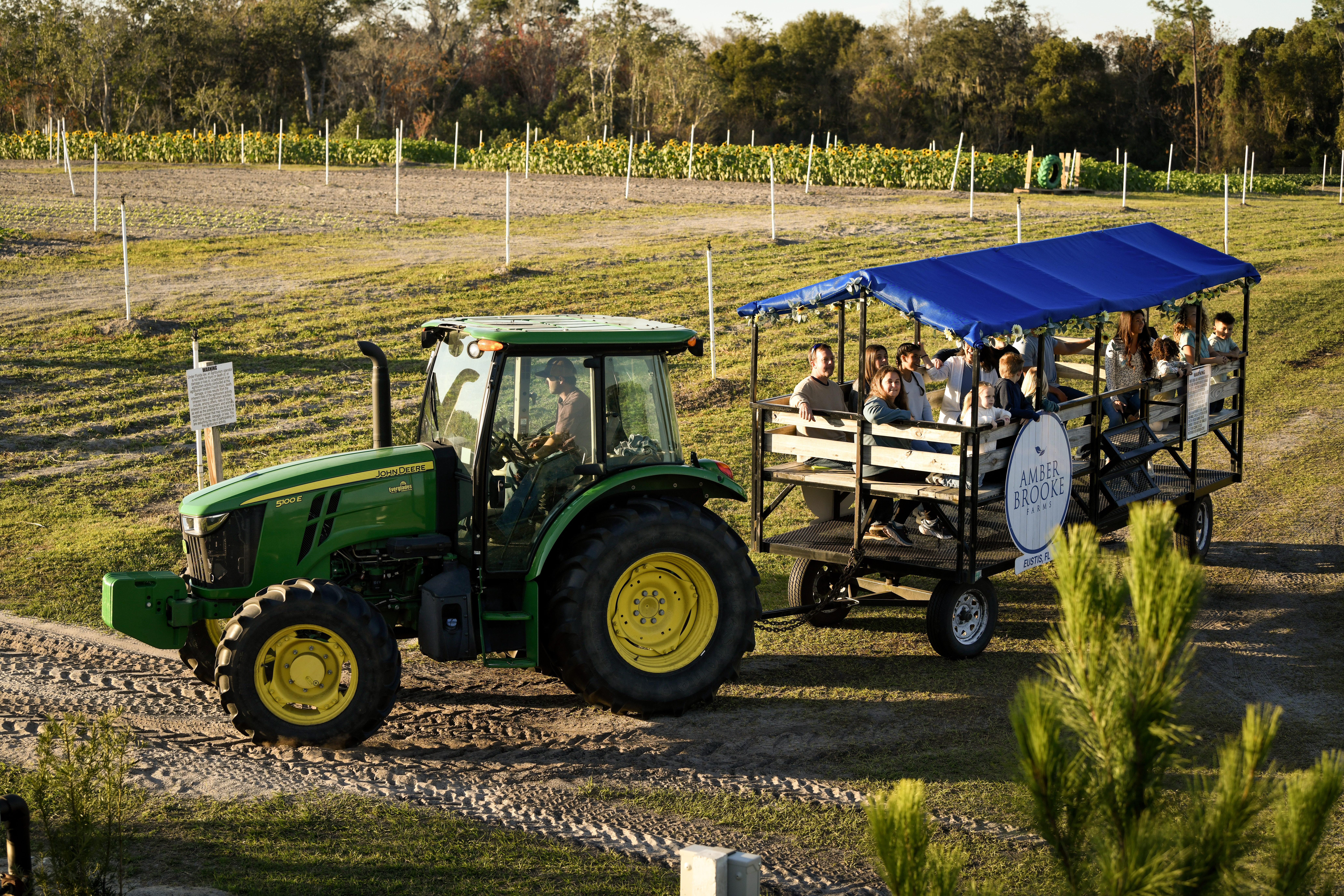 Family fall activities at Amber Brooke Farms