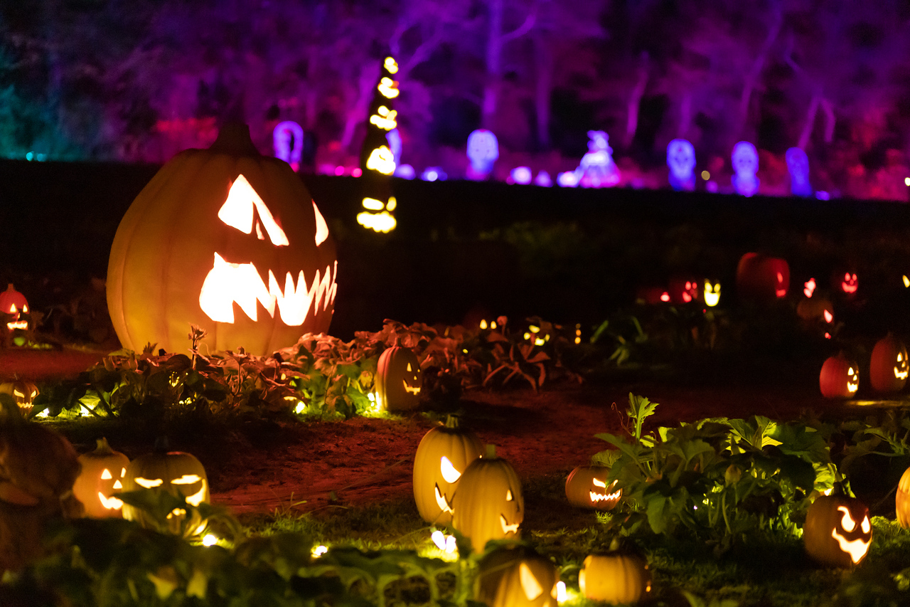 Great Pumpkin Glow