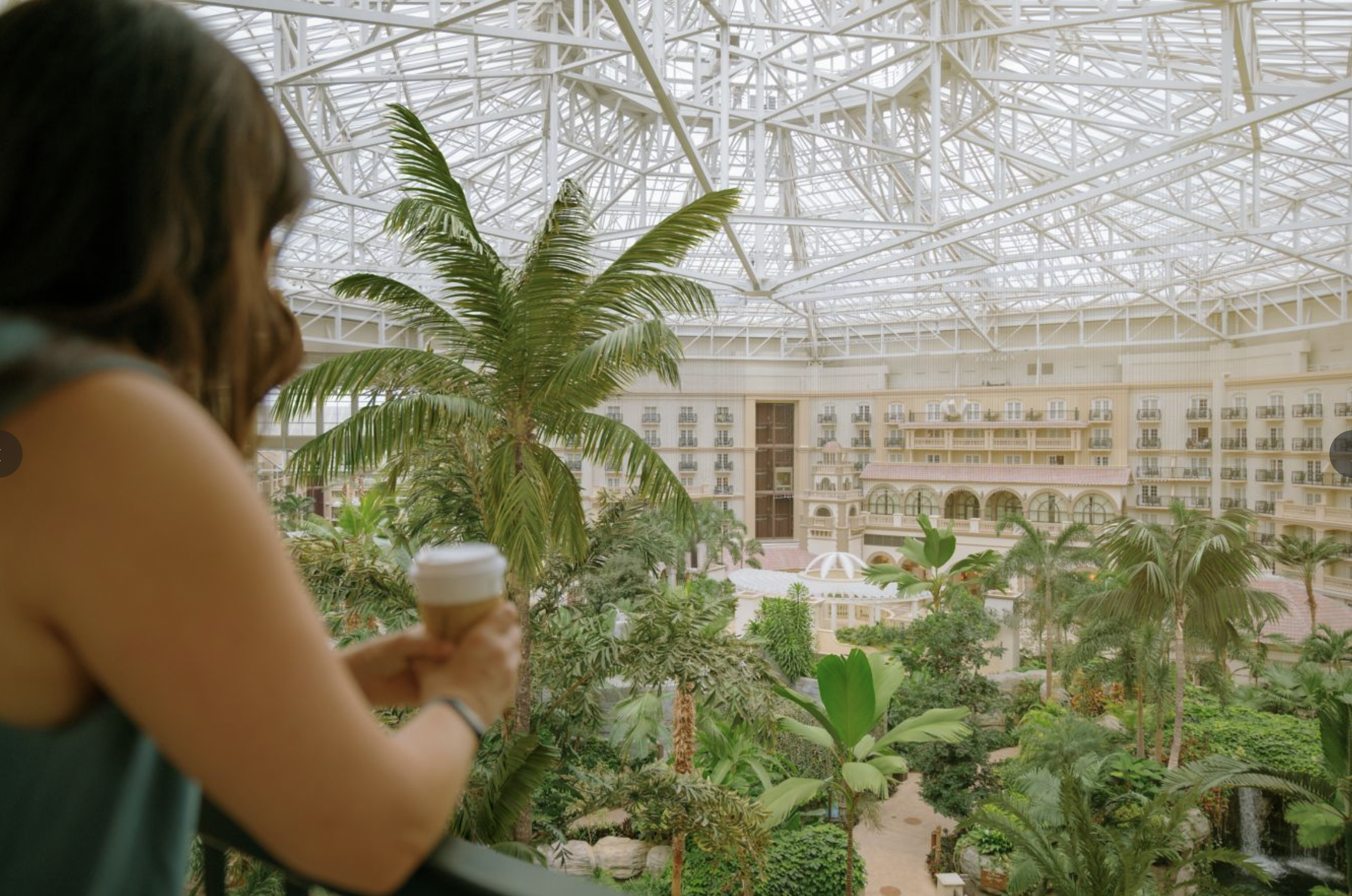 The glass atrium and palm trees inside the Gaylord Palms Resort