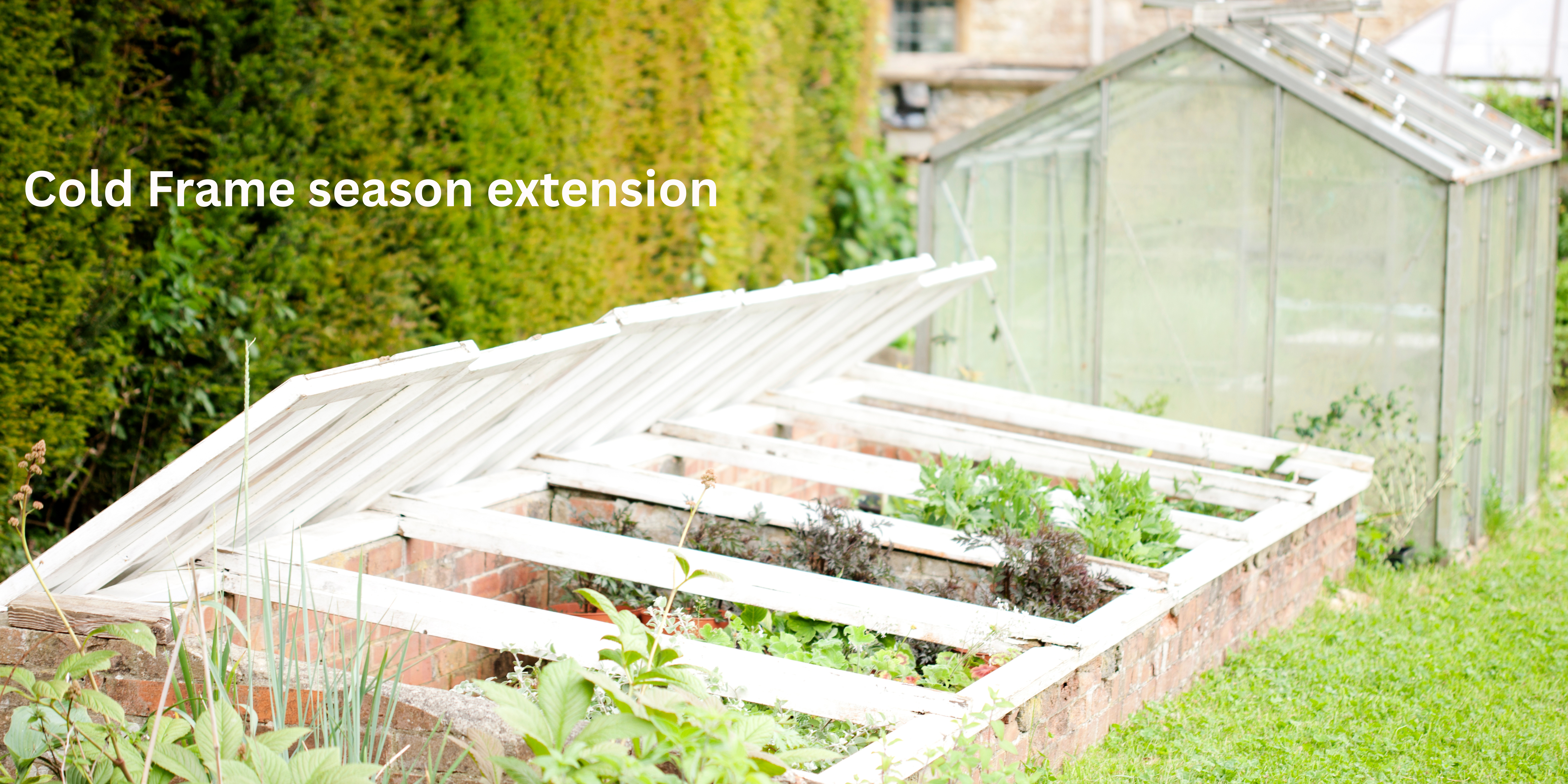 Cold Frame- Season Extension