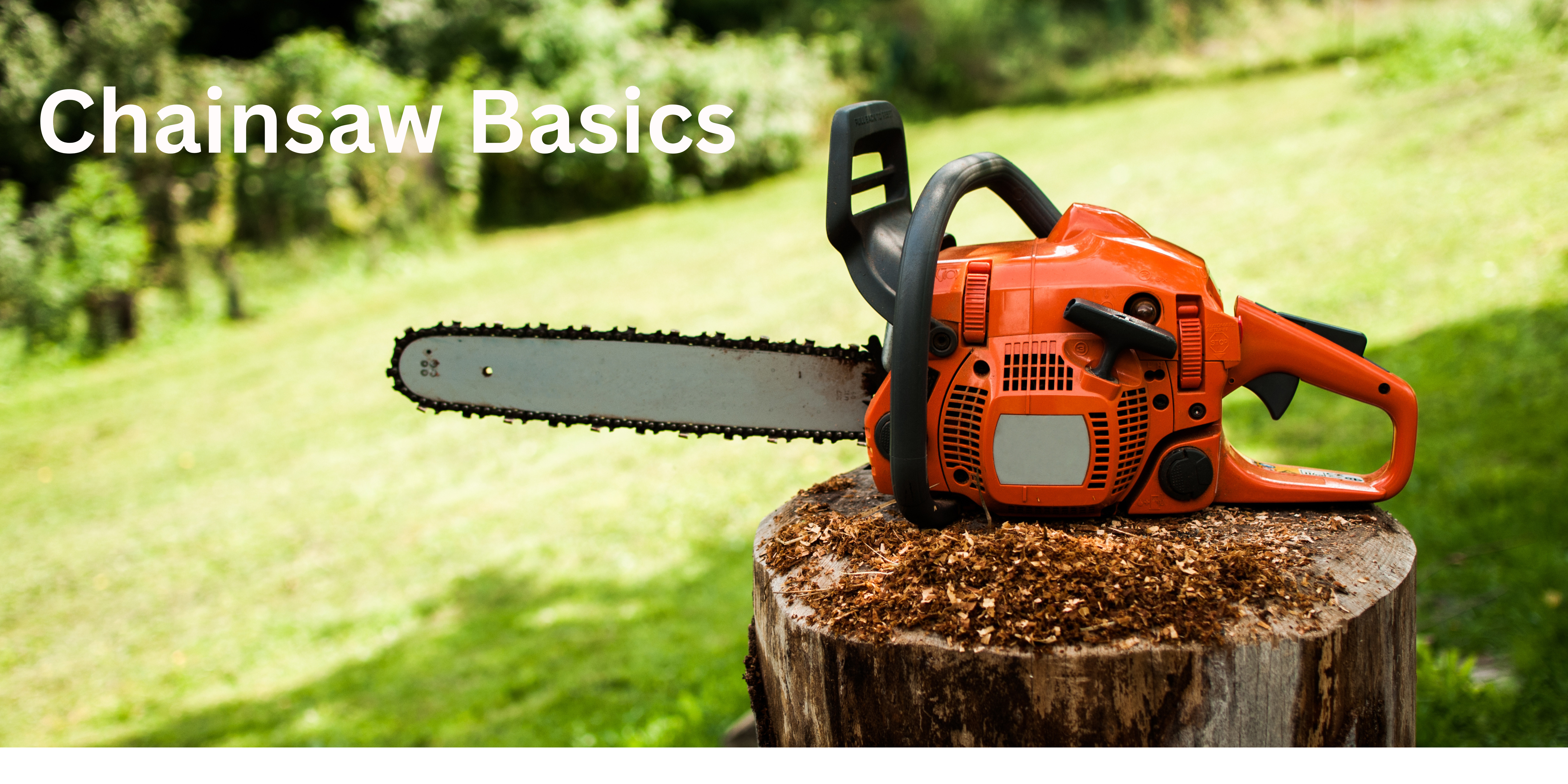 Tree Work and Chainsaw Basics- Tips from the pro's to be efficient and safe
