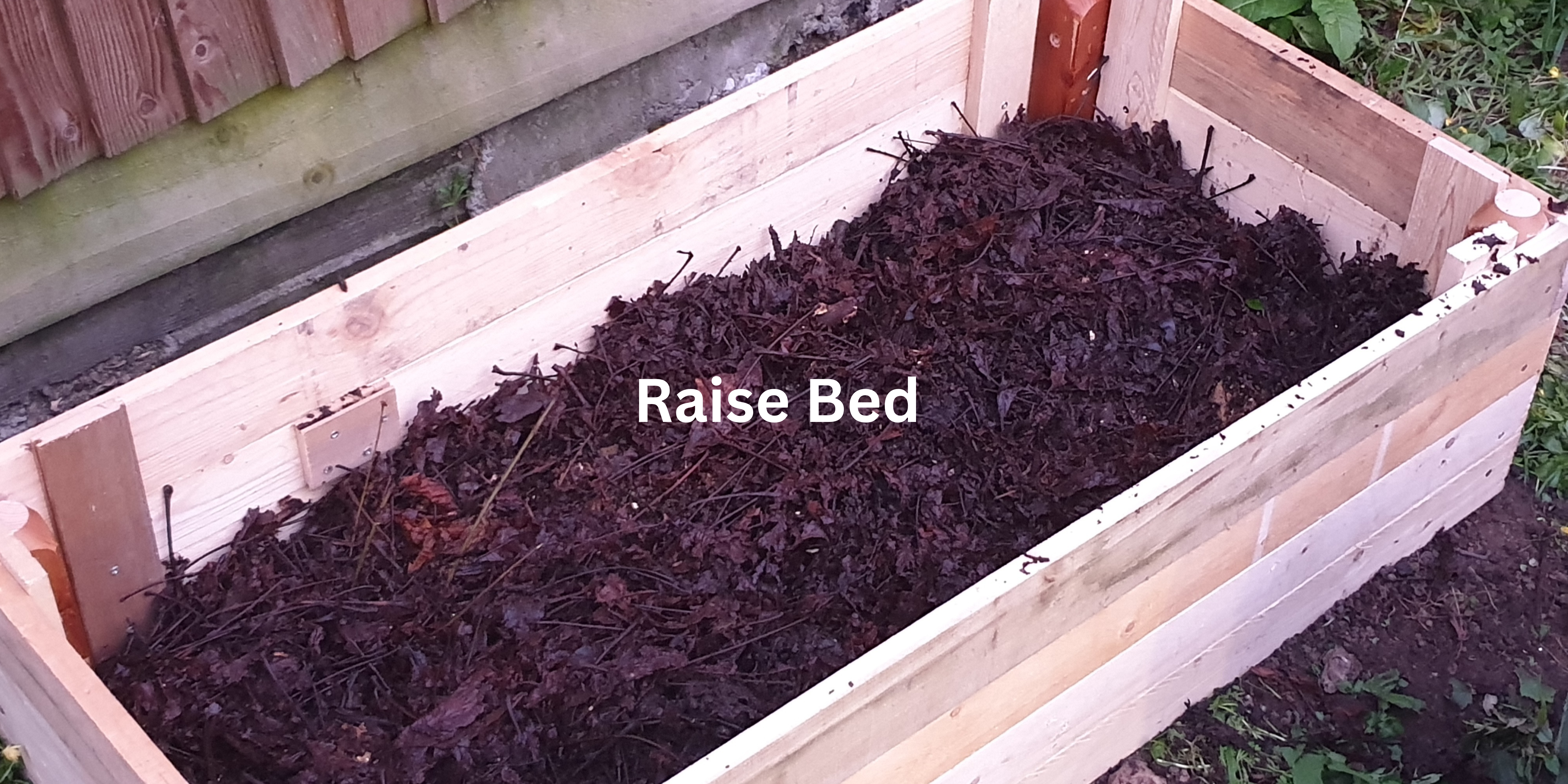 Raise Beds 101