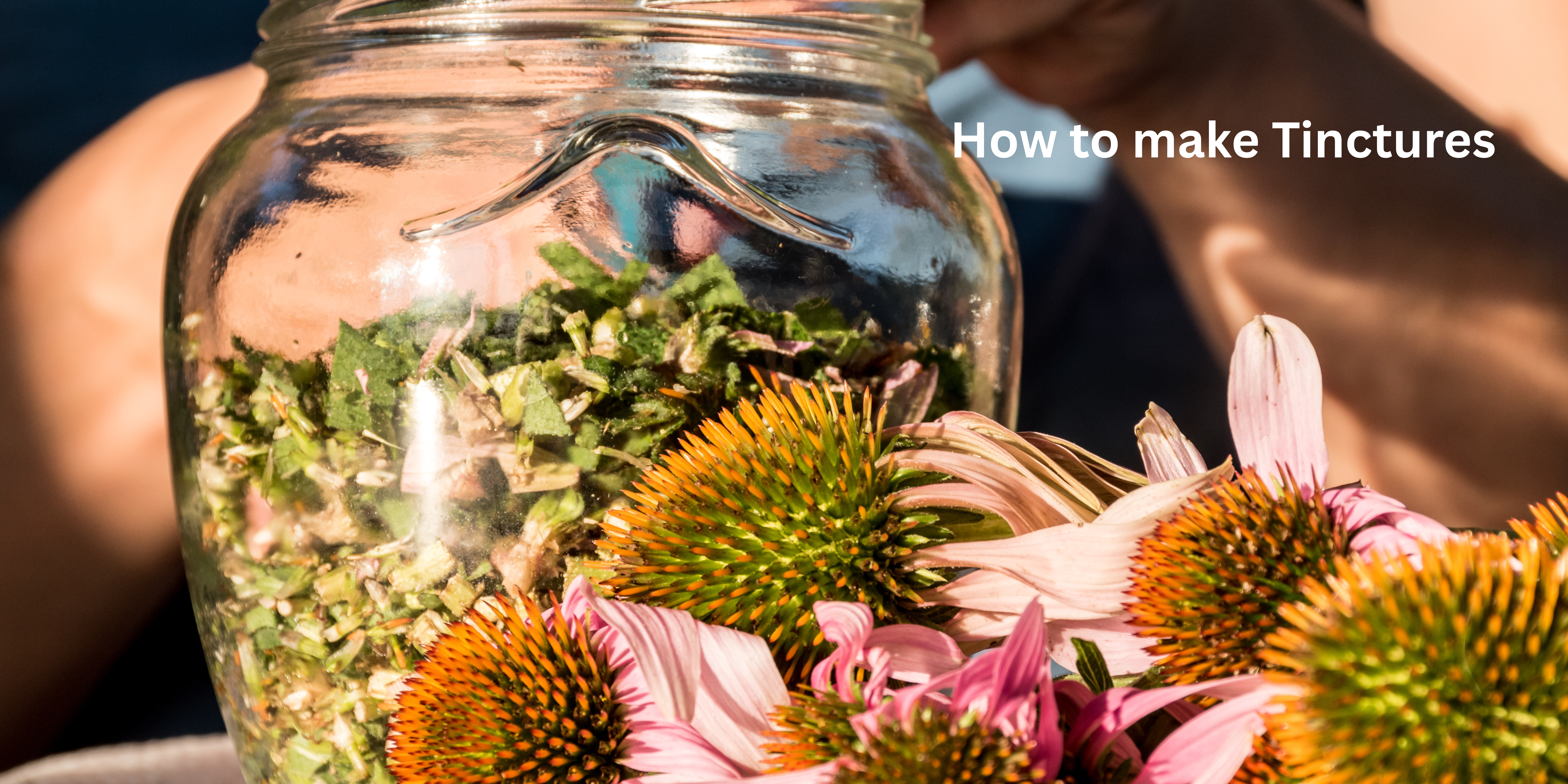 How to make your own herbal tinctures & how to formulate your own recipes