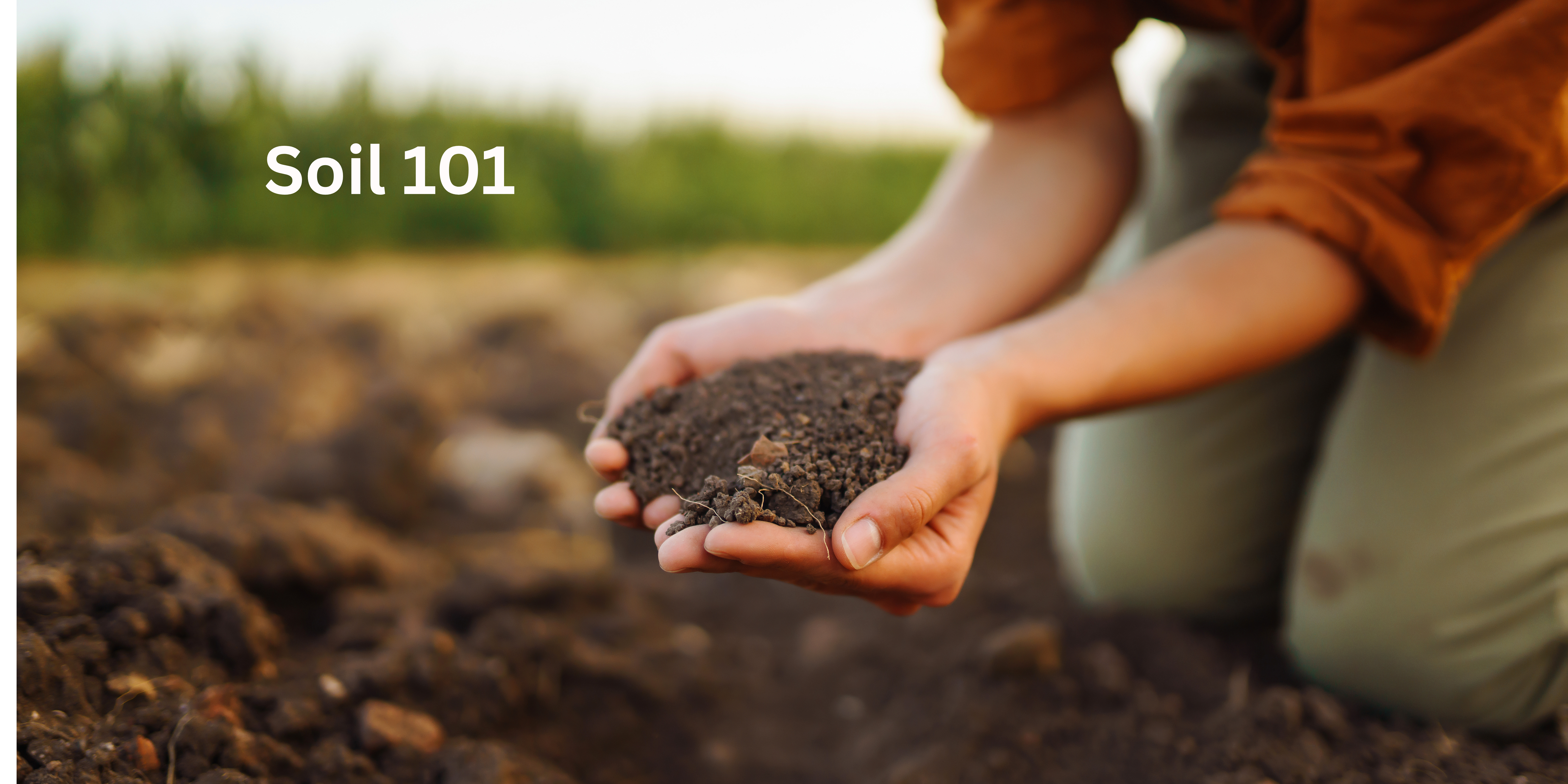 Seed Starting - Soil types and techniques