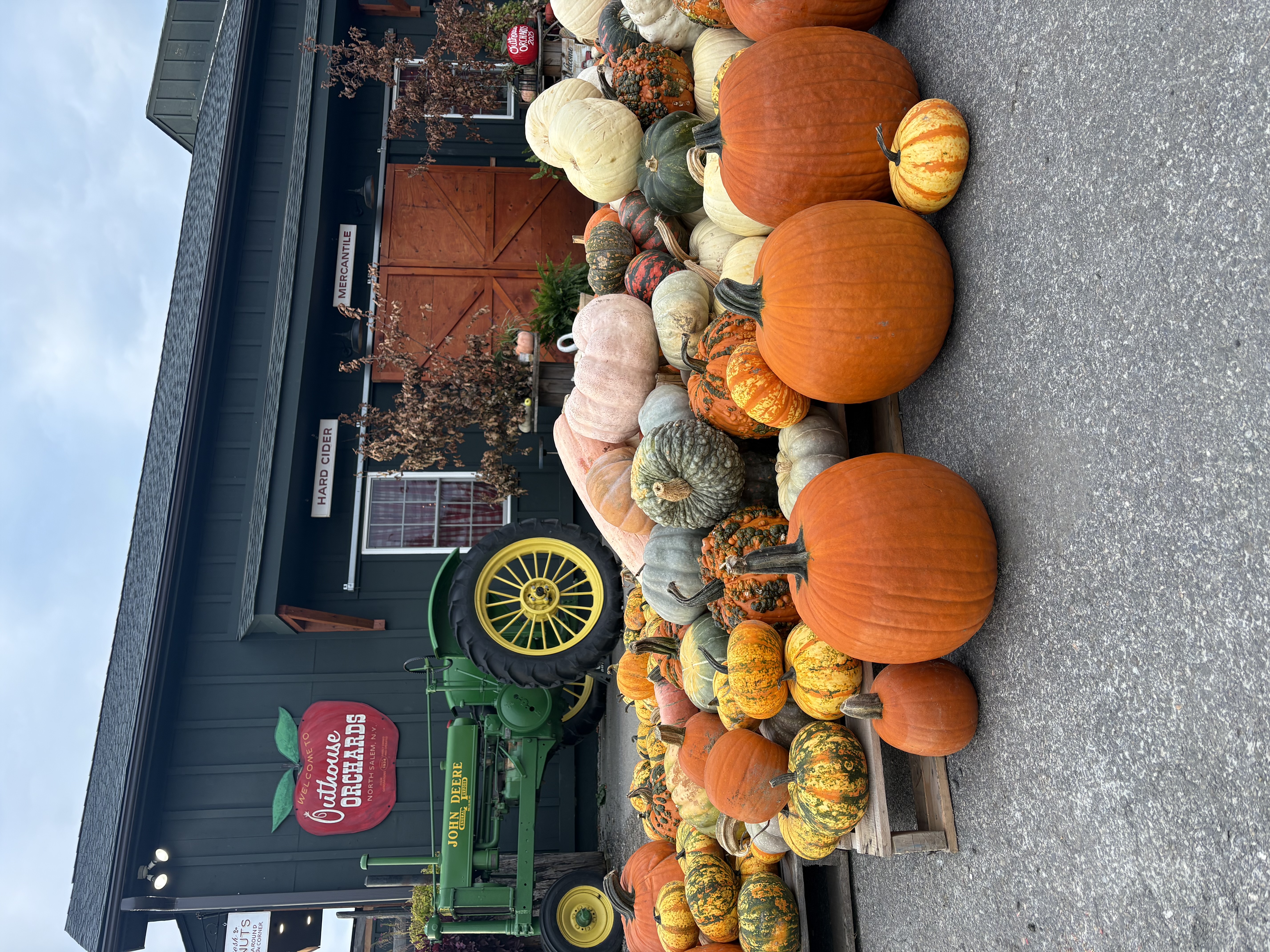 Pumpkin Patch