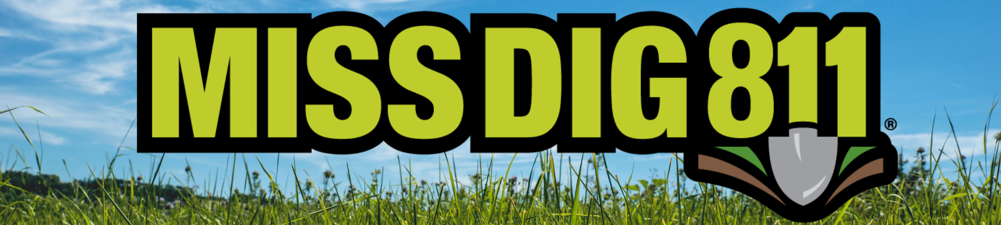 Logotipo De Miss Dig