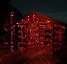 Illuminated pumpkin house at night