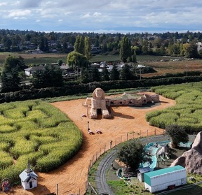 Aerial view of the Galey Farms maze and attractions