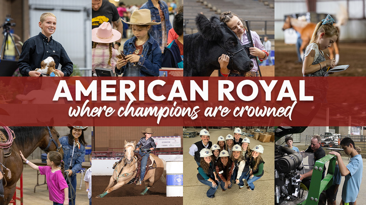 Governor Program American Royal Governorship Program