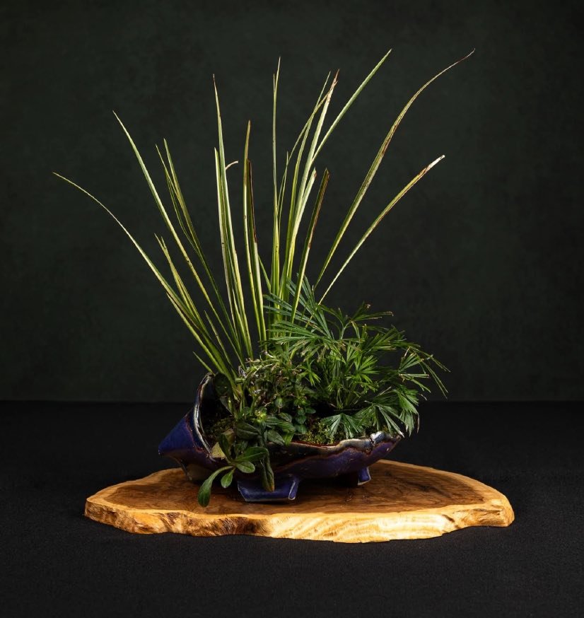 A kusamono arrangement of grasses and native plants on a wooden slab.