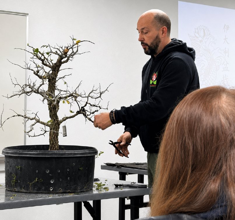 Mauro Stemberger evaluating an attendee's bare deciduous tree.