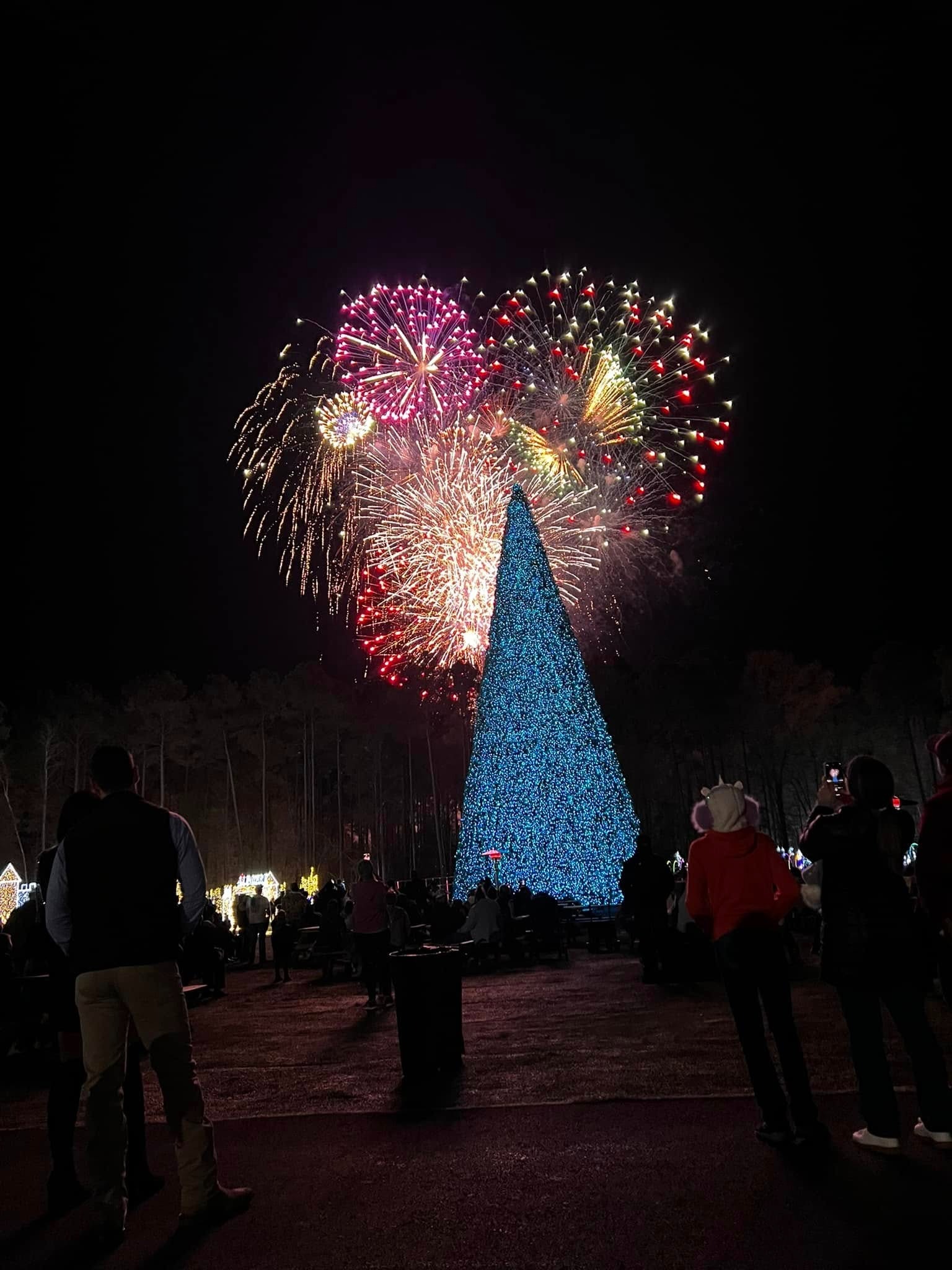 The 72-Foot Christmas Tree