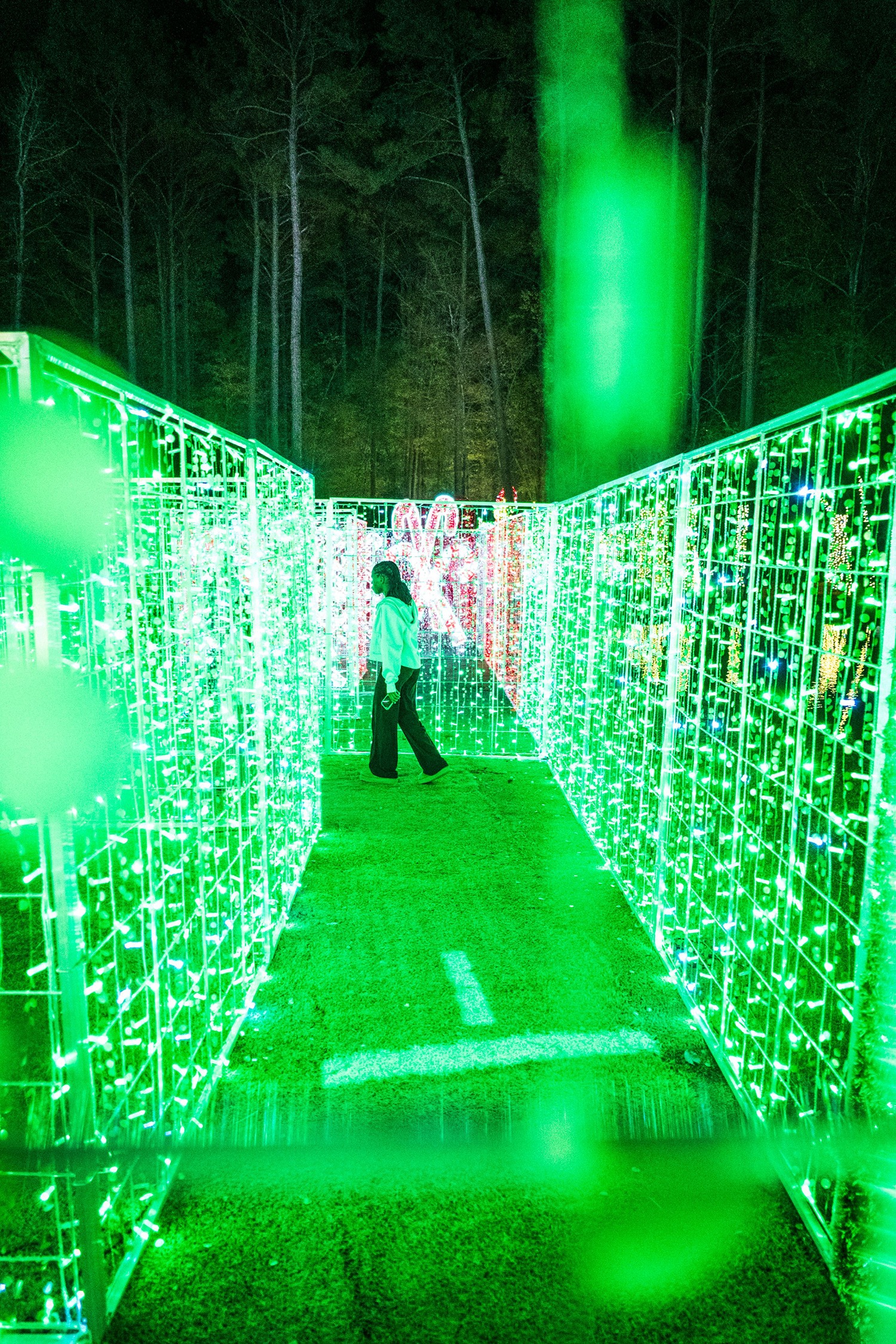 The Light Maze