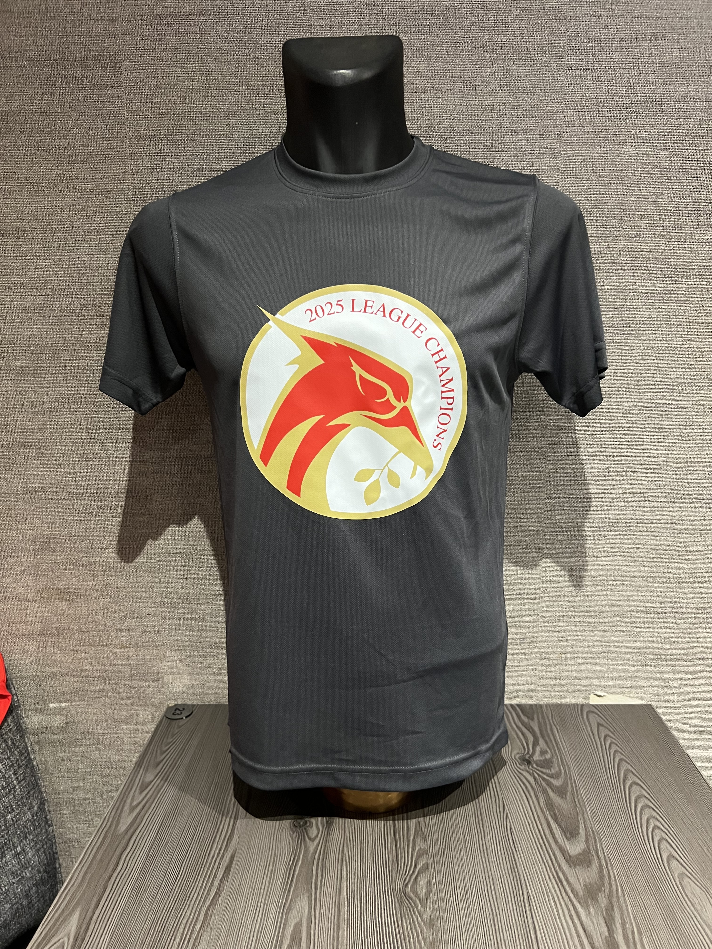Champions T-Shirt Grey