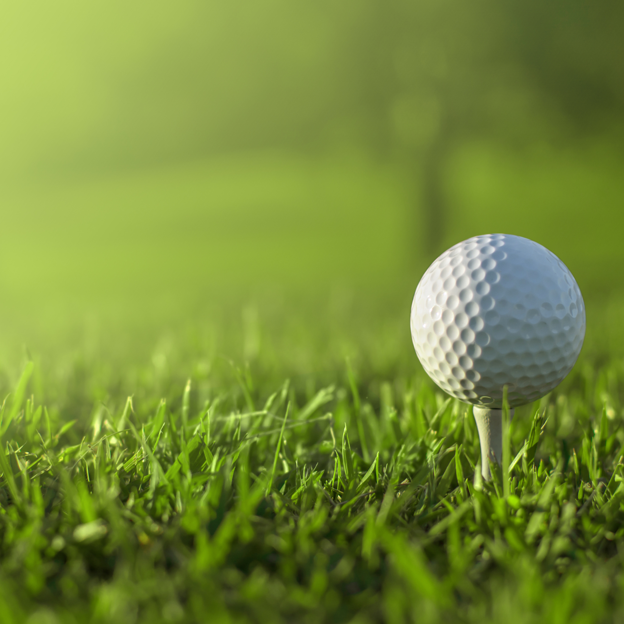 WNRS 55th Annual Golf Tournament | Friday, October 20th | 1:00 PM