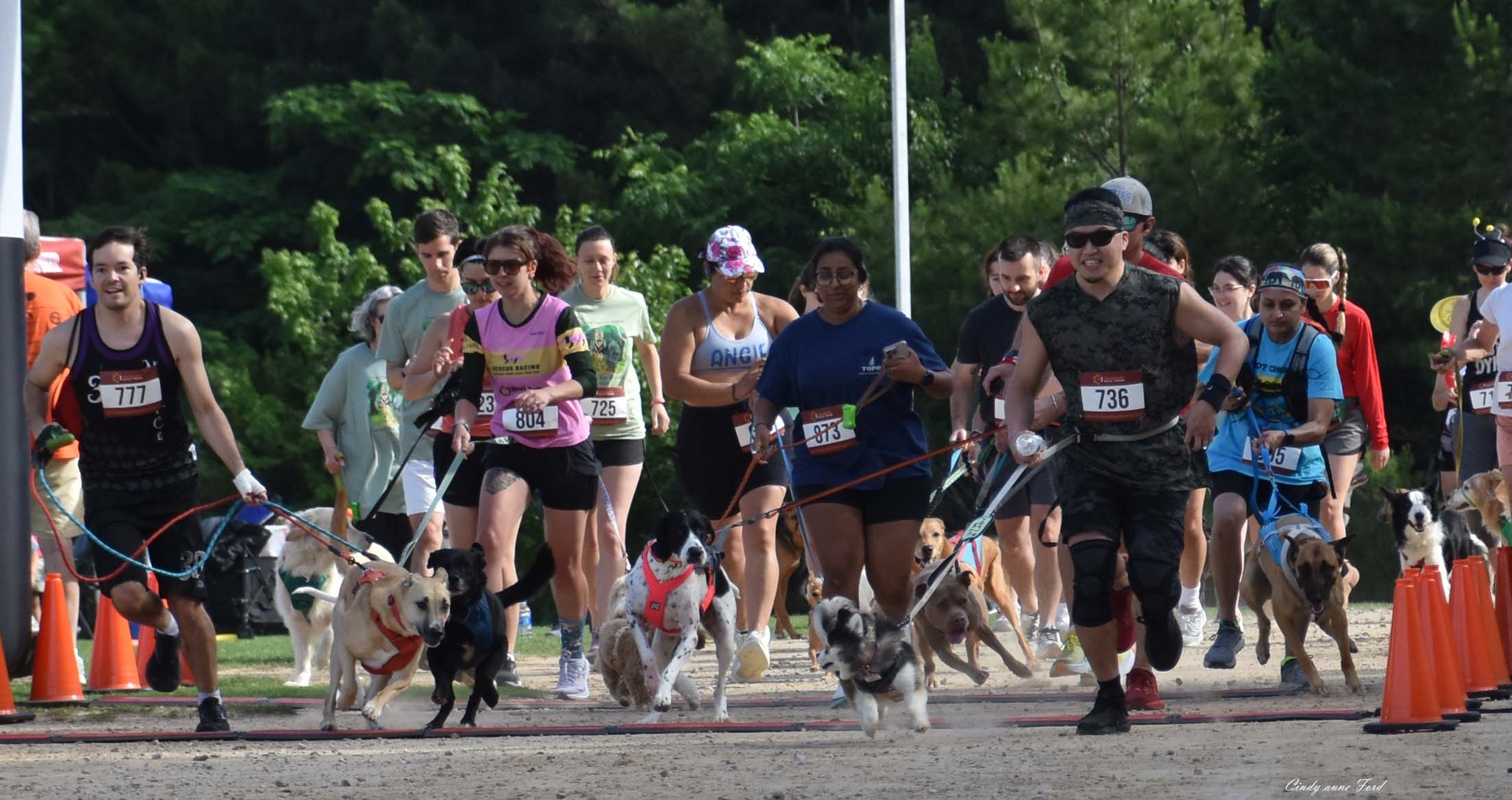 Racing for Rescues - Timed 5K with dogs