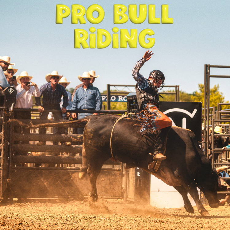 Pro Bull Riding at the Lake County Fair - Sunday August 2