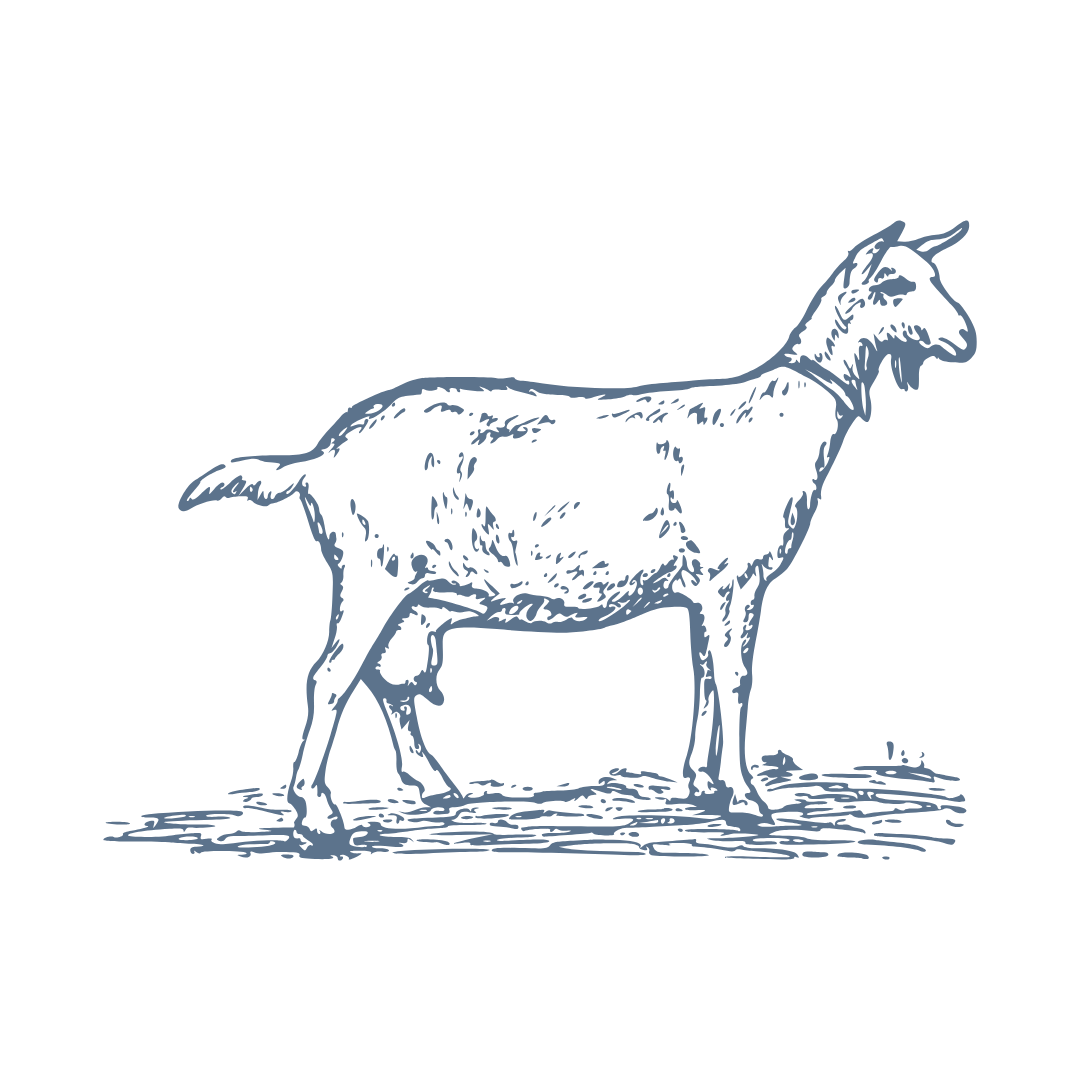 Farm Animals