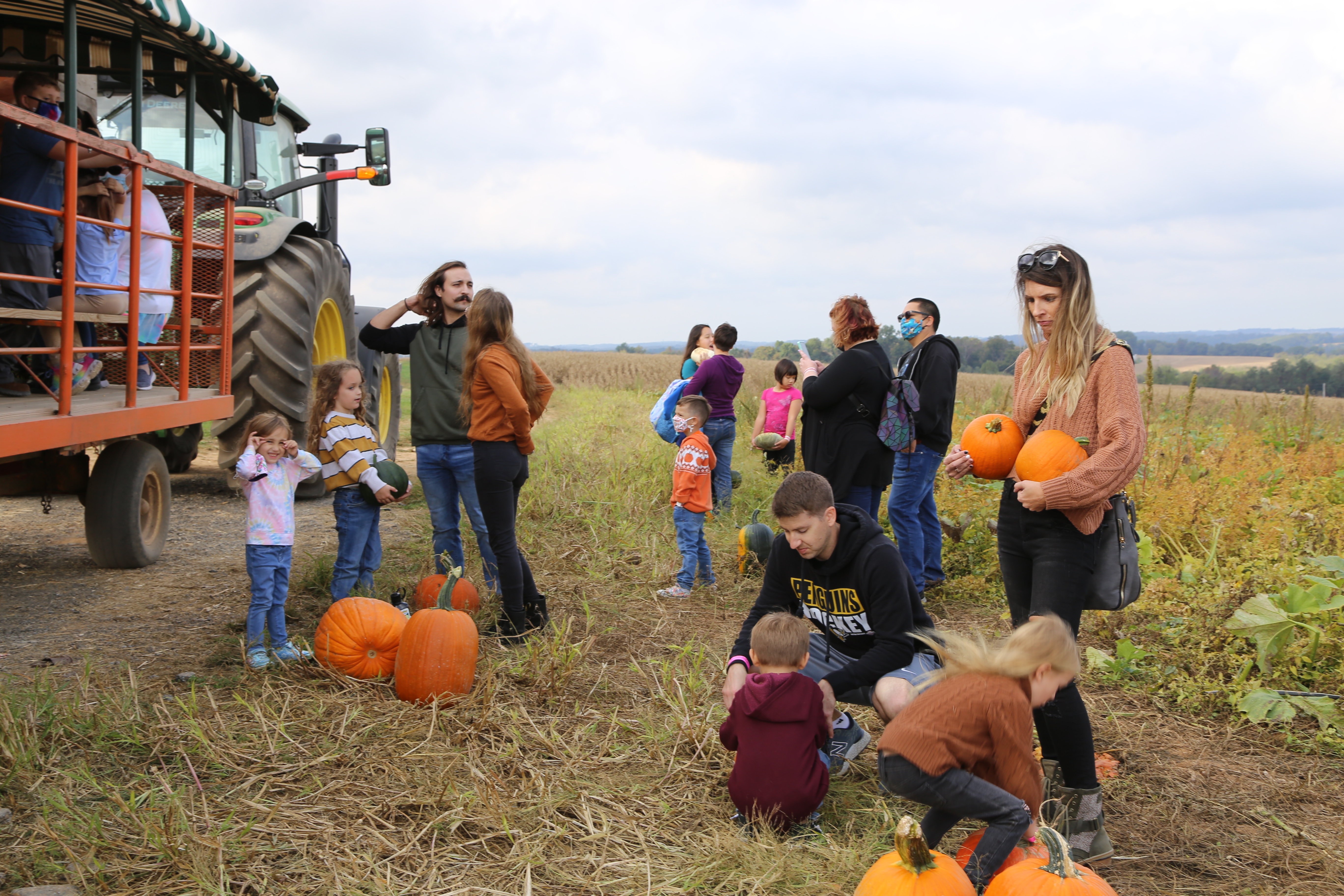 Pumpkin Patch