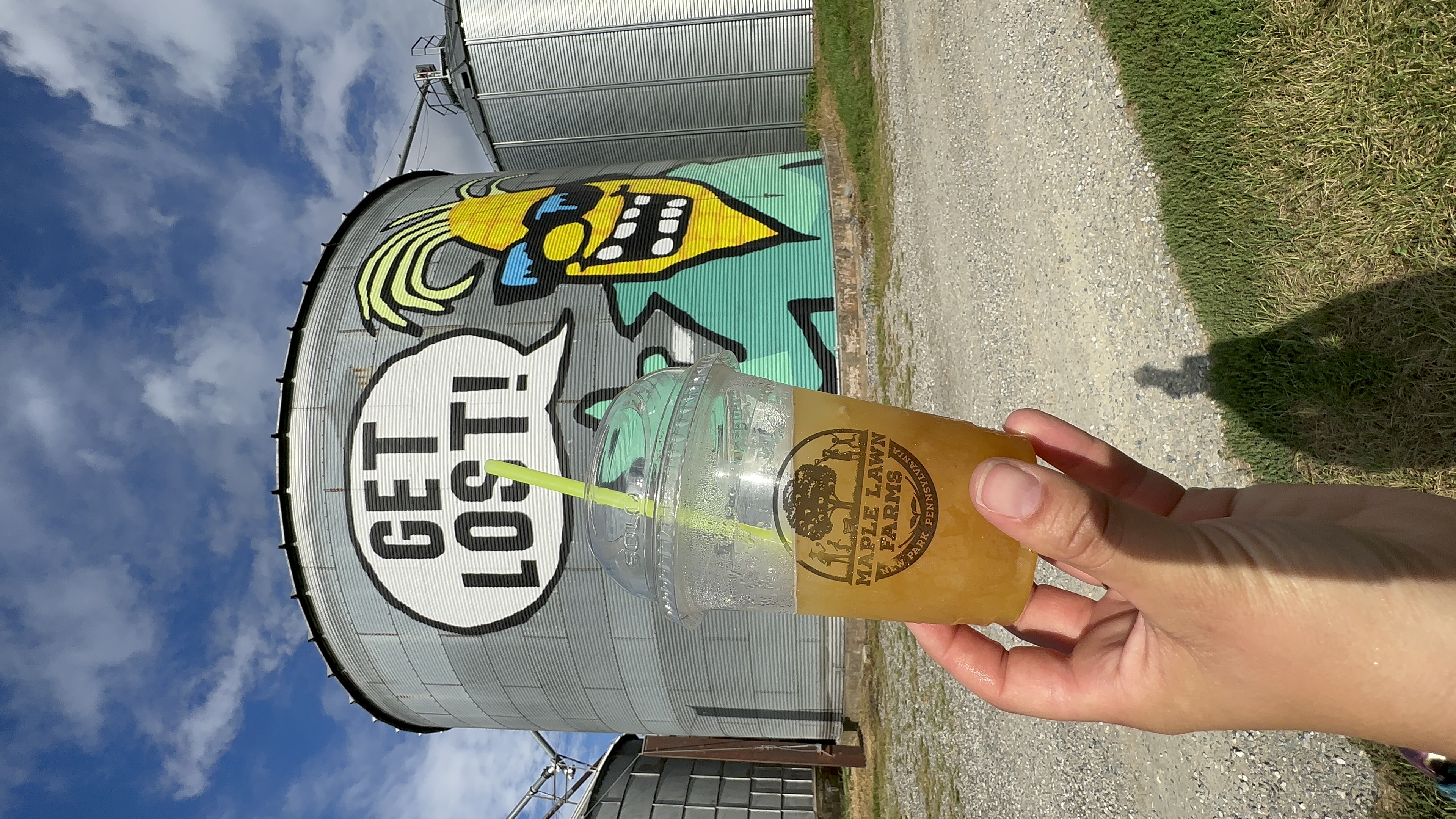 Cider Slushie