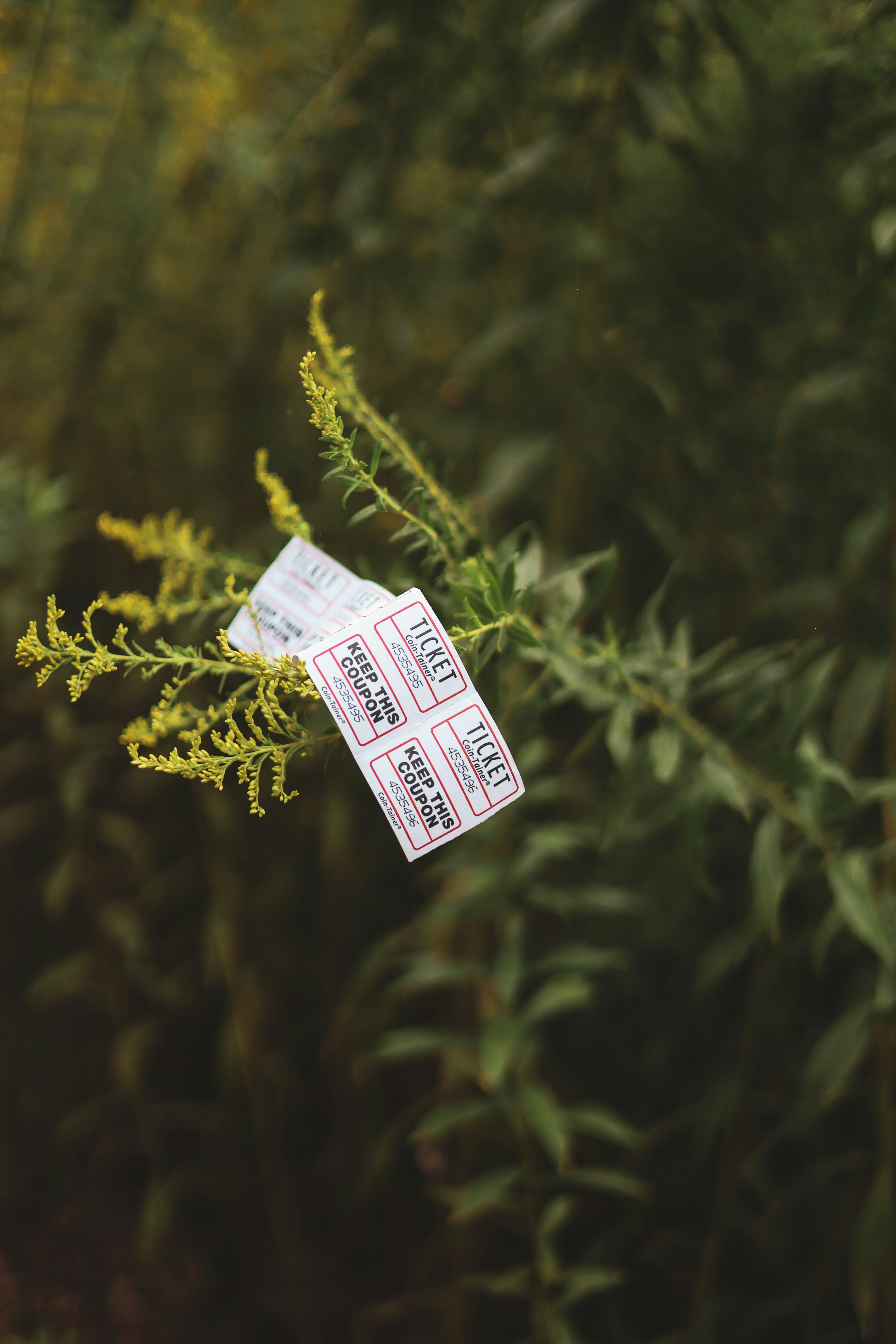 Raffle Ticket