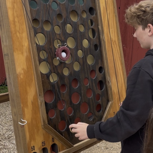 Playing a farm activity game