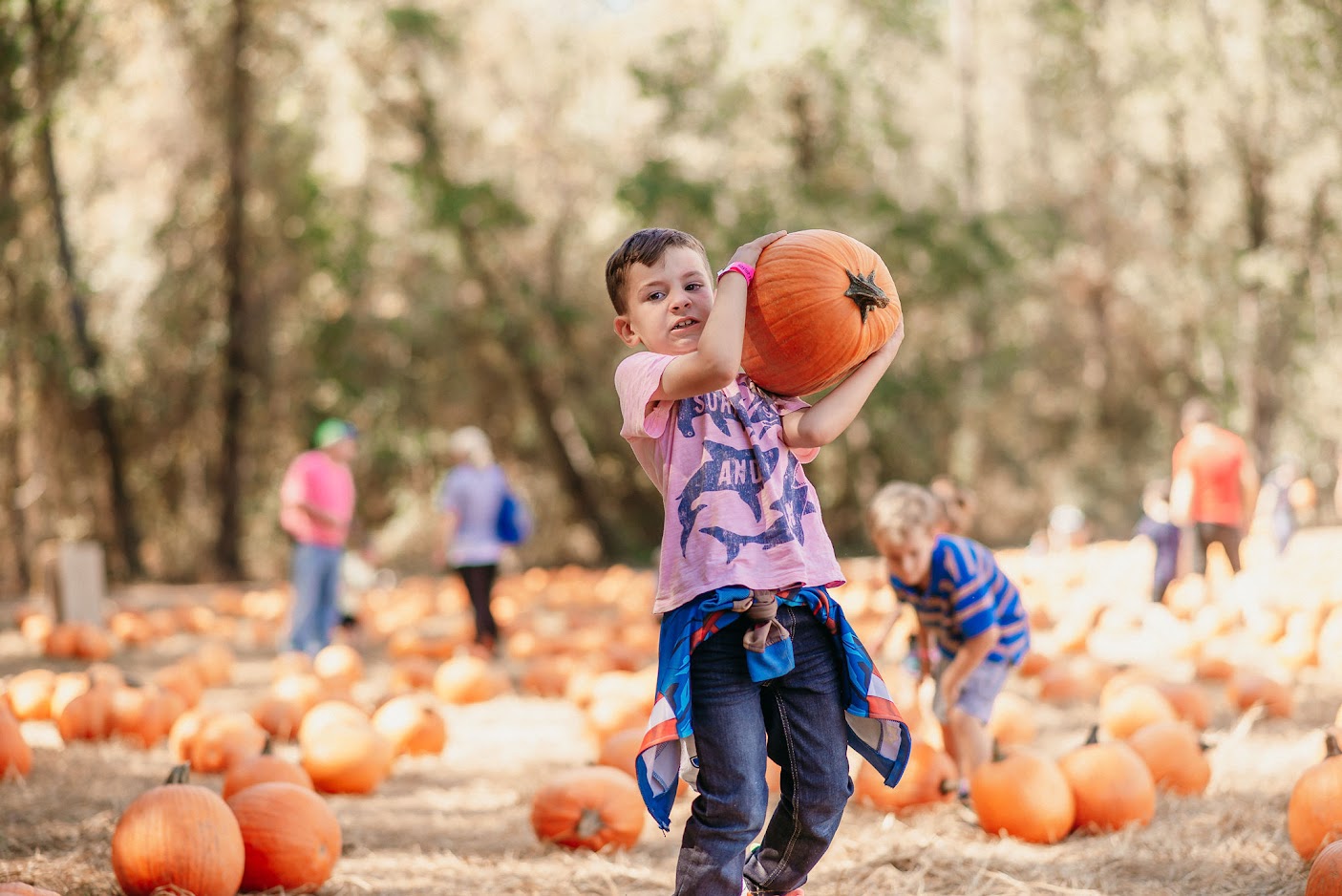2026 Fall Season at Naylor Family Farm!