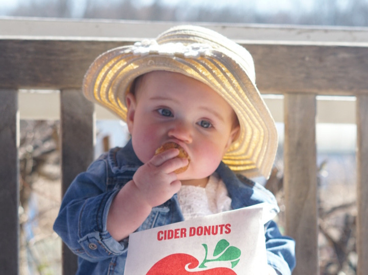 Baby eating cider donuts