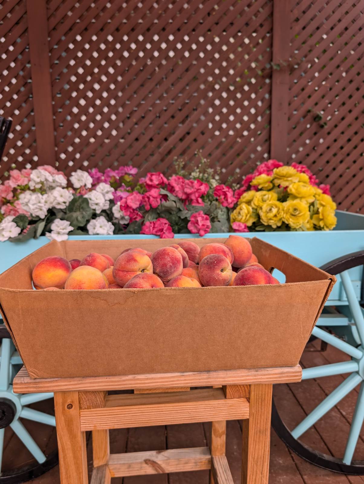 Half Bushel of Peaches