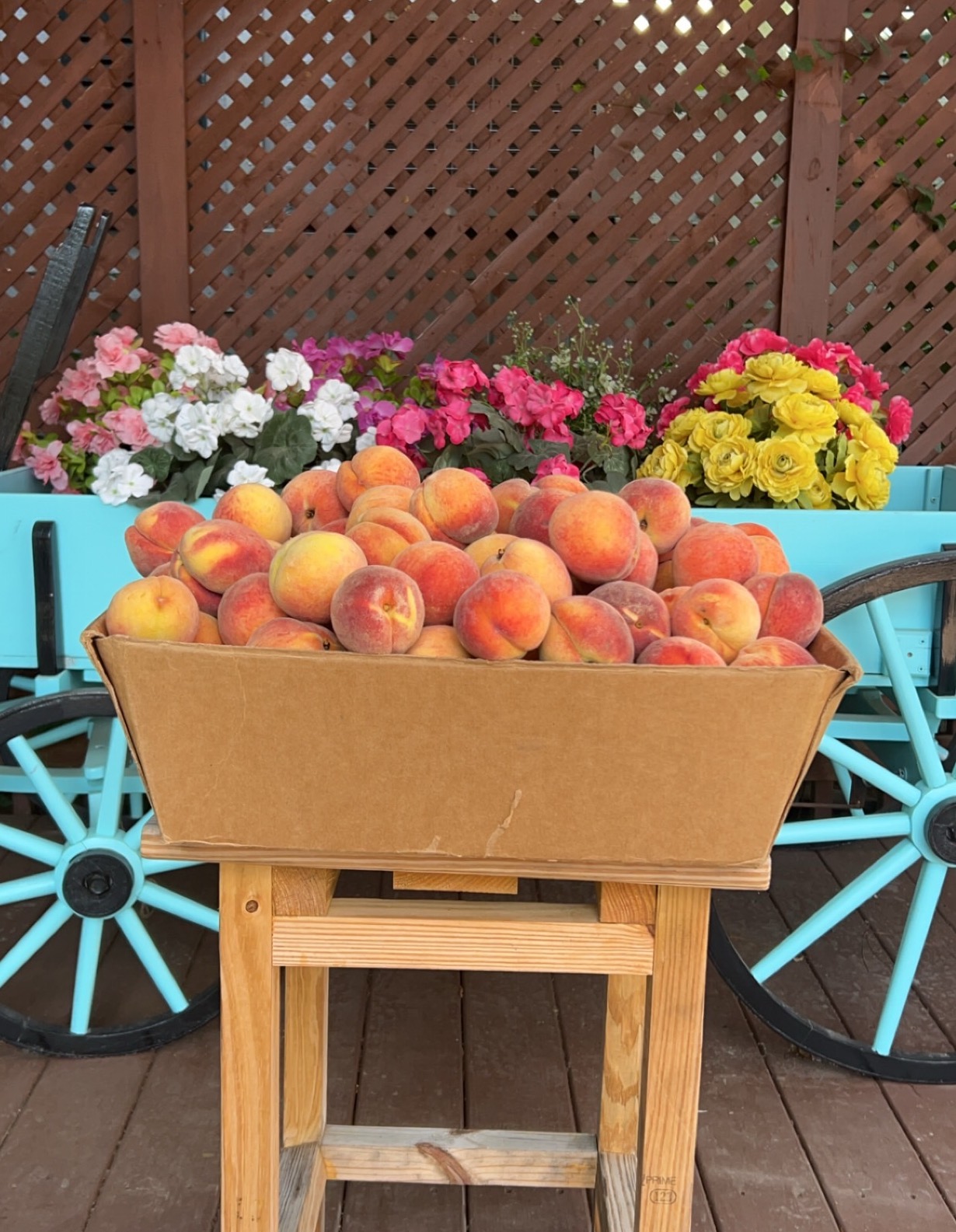 Bushel of Peaches