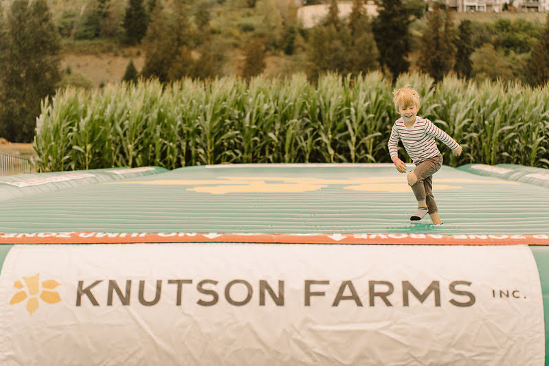 The Patch farm activities