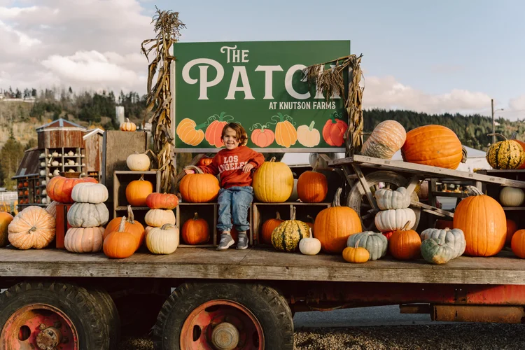 The Patch @ Knutson Farms