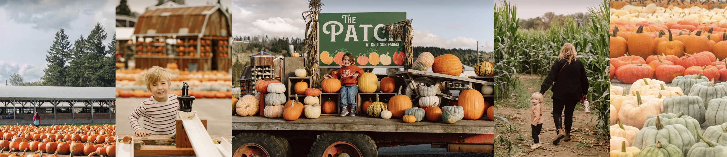 Knutson Farms The Patch