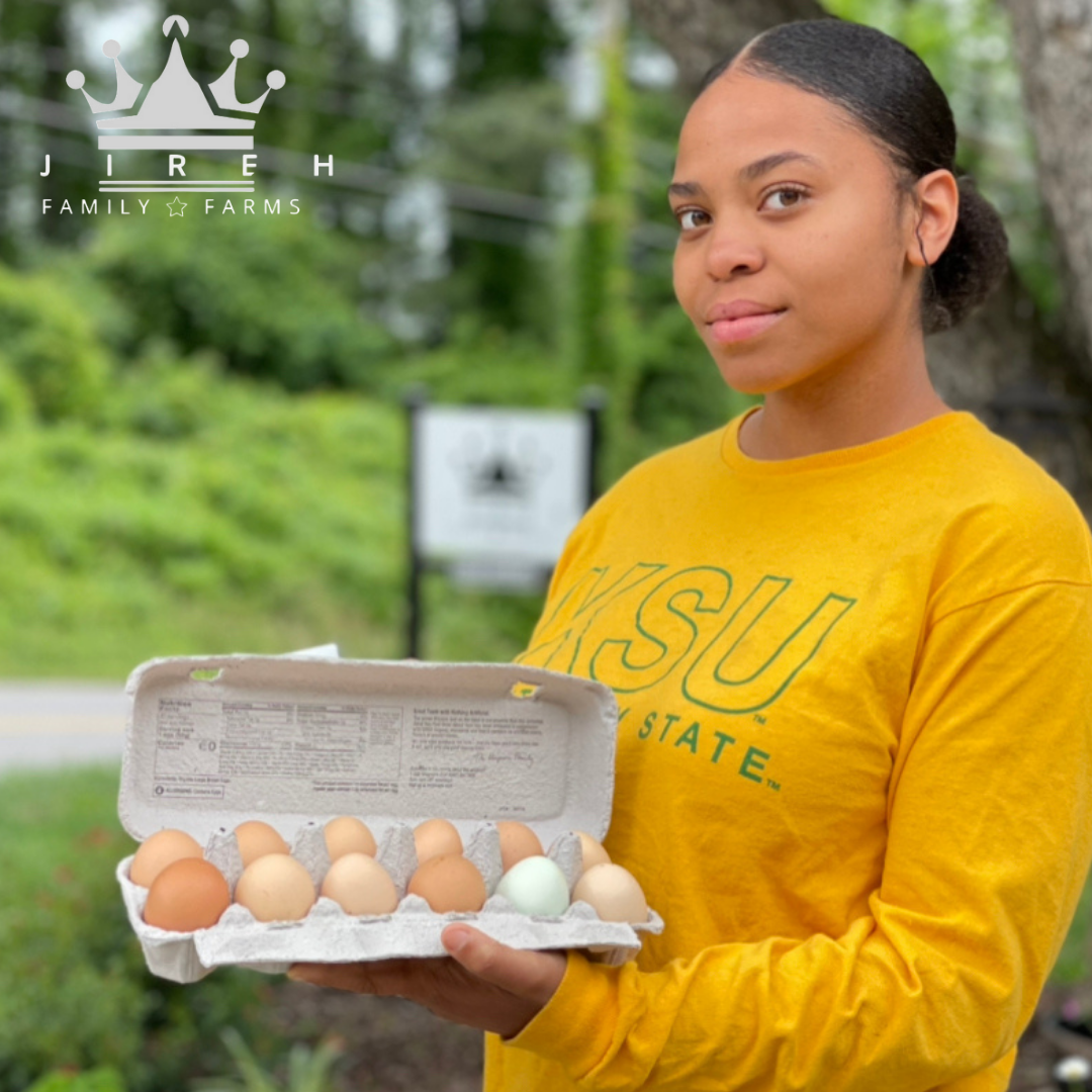 Farm Fresh Eggs